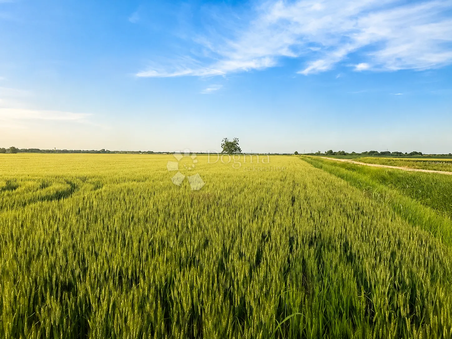 kuća 166 m² + oranica 6.000 m² uz kuću - slika 7