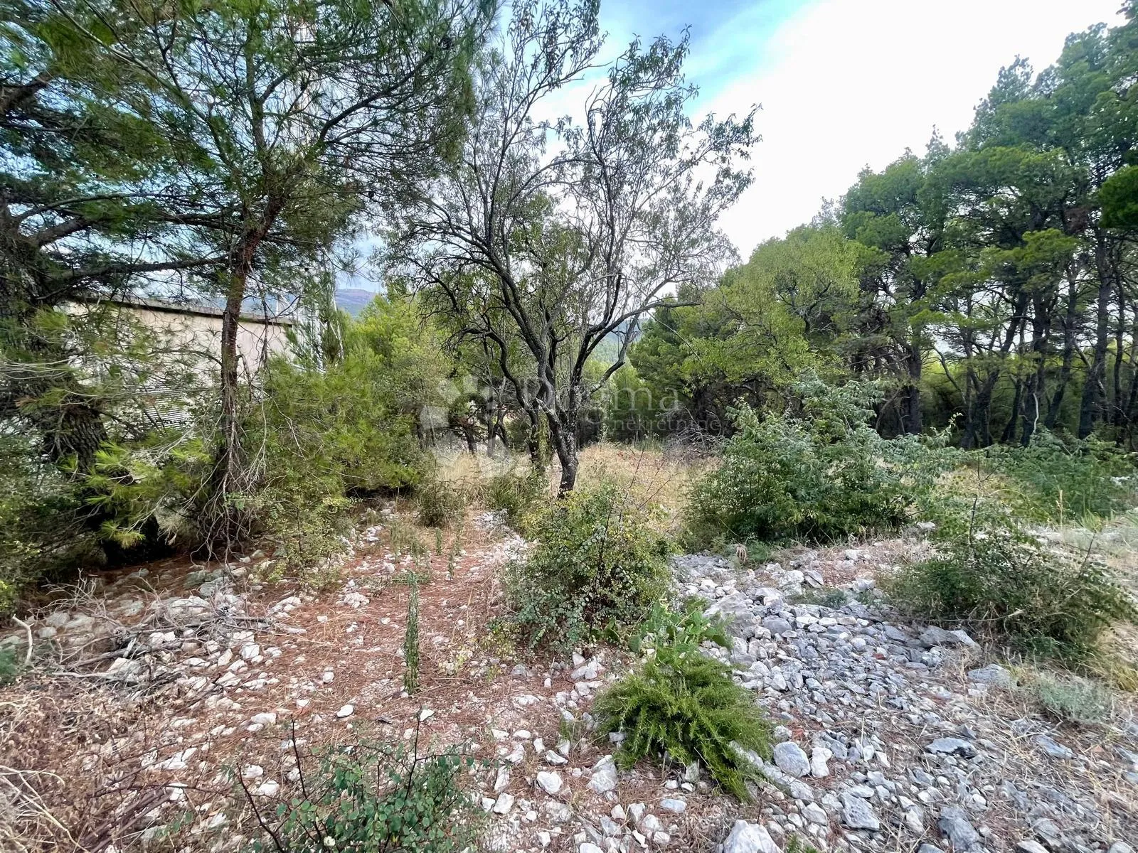kamena kuća s potencijalom za vilu - slika 11