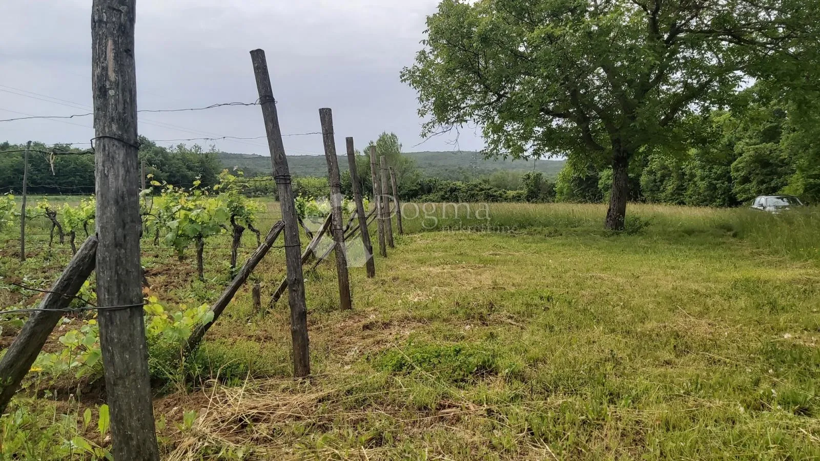poljoprivredno zemljište i vinograd - slika 5