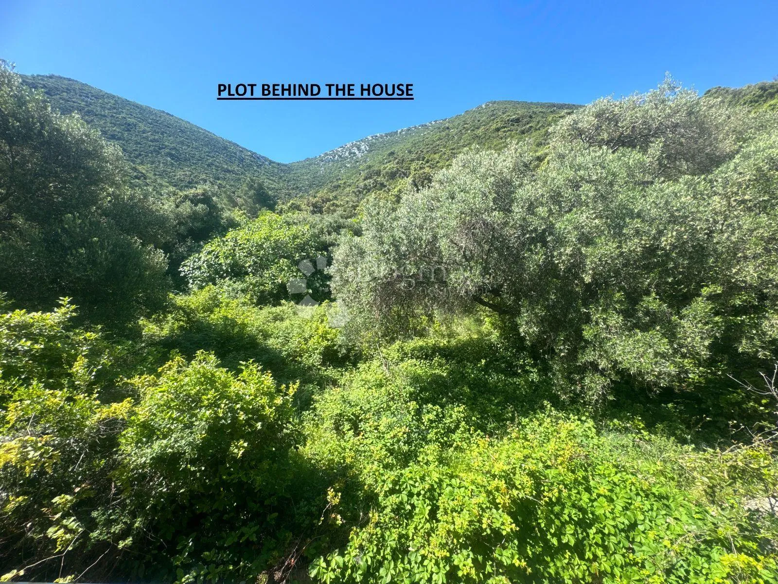 trpanj - vila uz plažu - slika 17