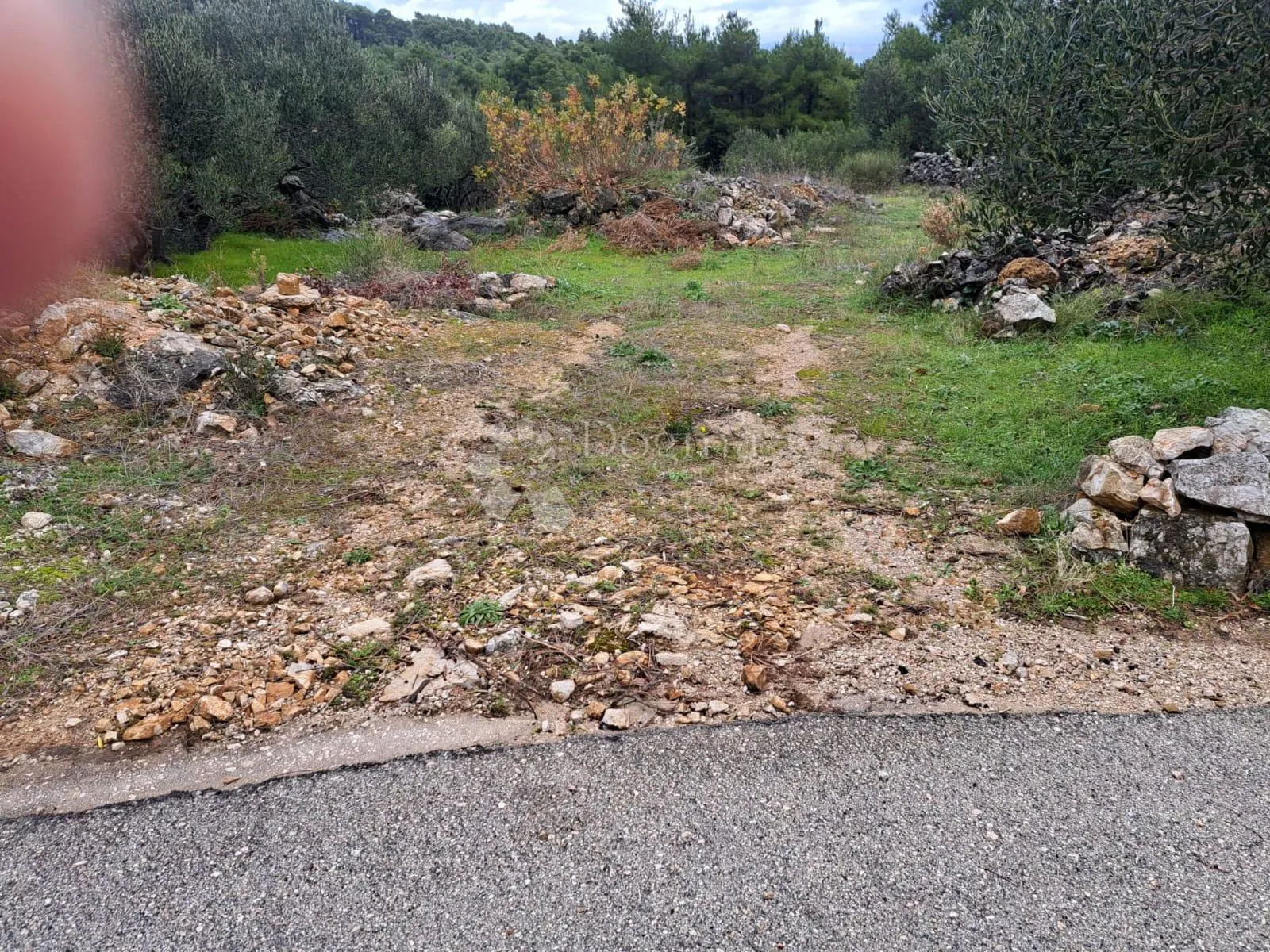 poljoprivredno zemljište hvar-jelsa 9500m2 - slika 4
