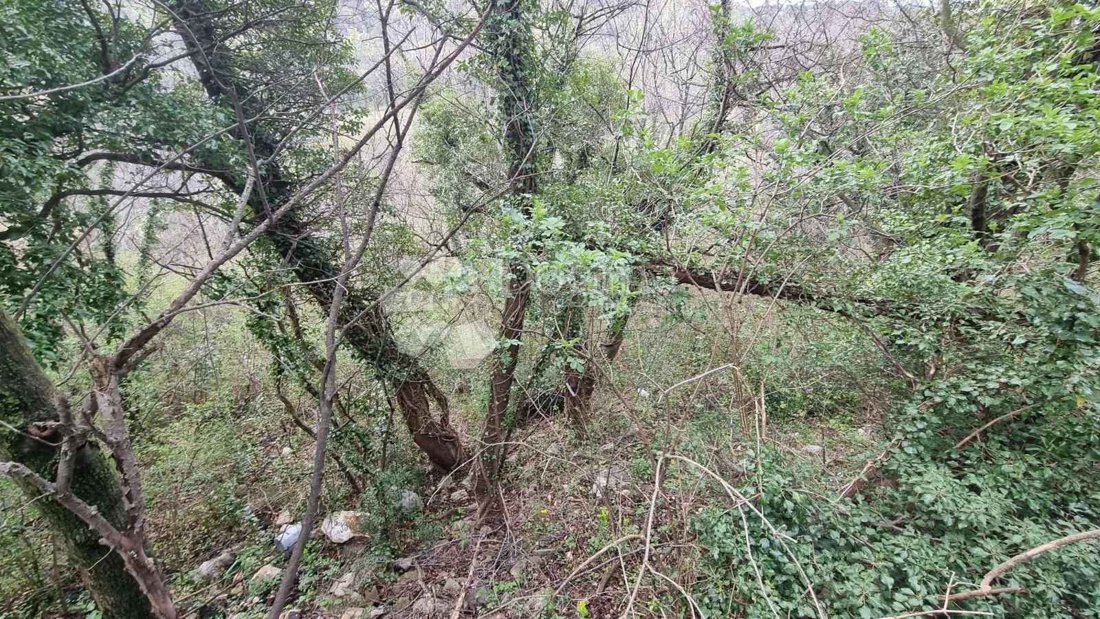 Najjeftinije građevinsko zemljište Draga - Rijeka