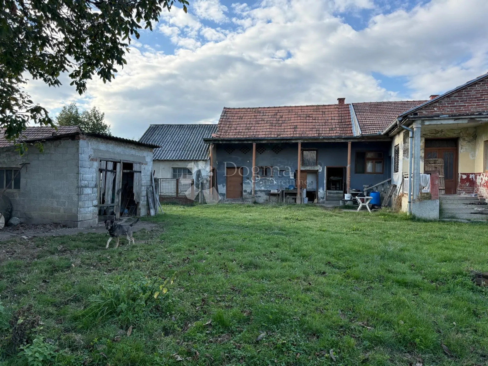 ovakve prilike nema!! - slika 2