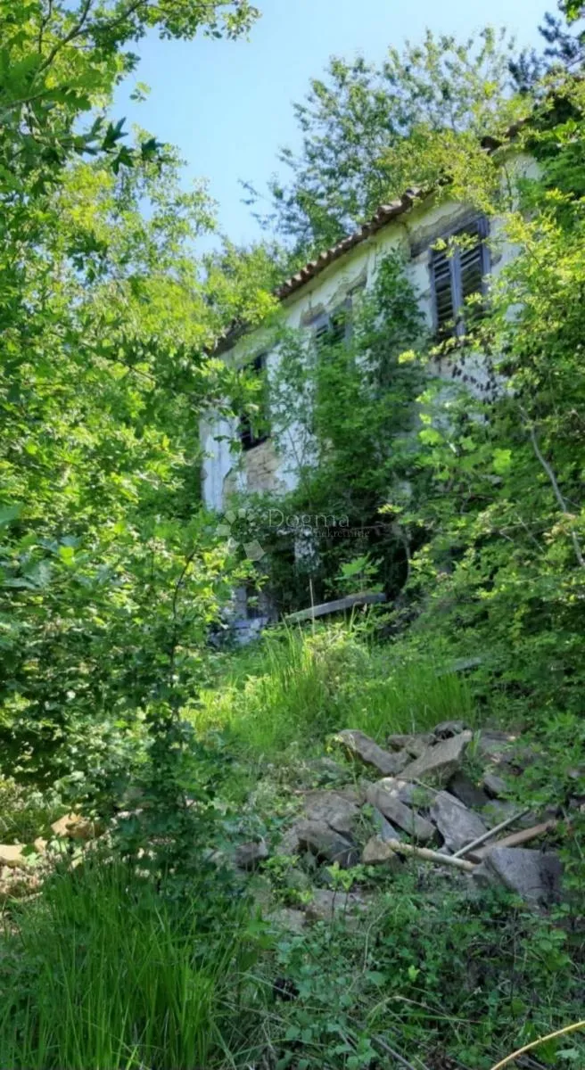 veliko imanje sa dvije kuće s ogromnim potencijalom - središnja istra - slika 9