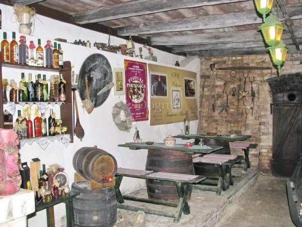 baranjski vinski dragulj-autentični podrum u srcu zmajevca - slika 6