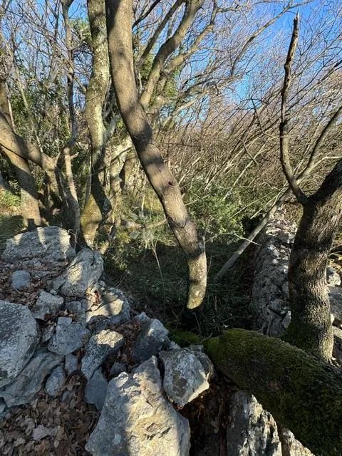 teren na top lokaciji 30 m od mora - slika 4