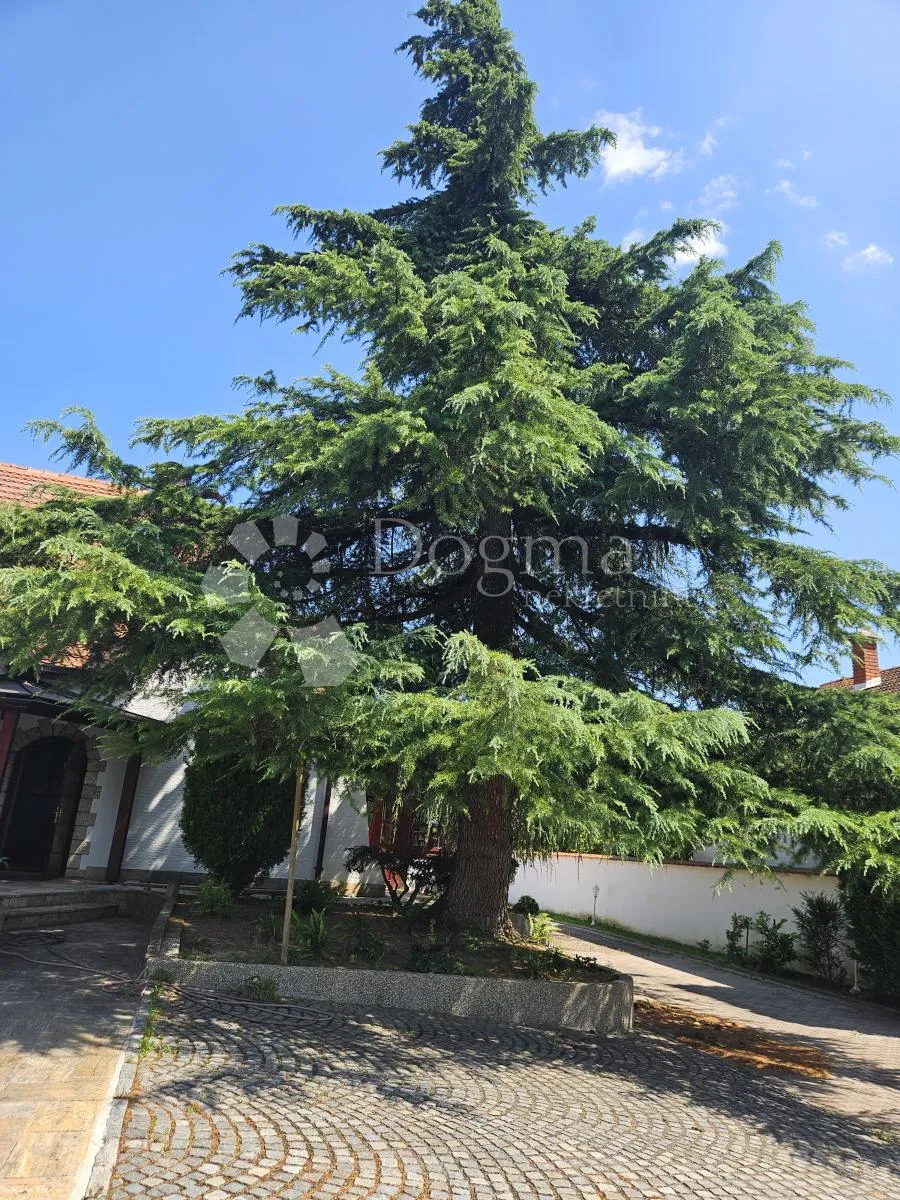 predivna vila u kuršancu - slika 123