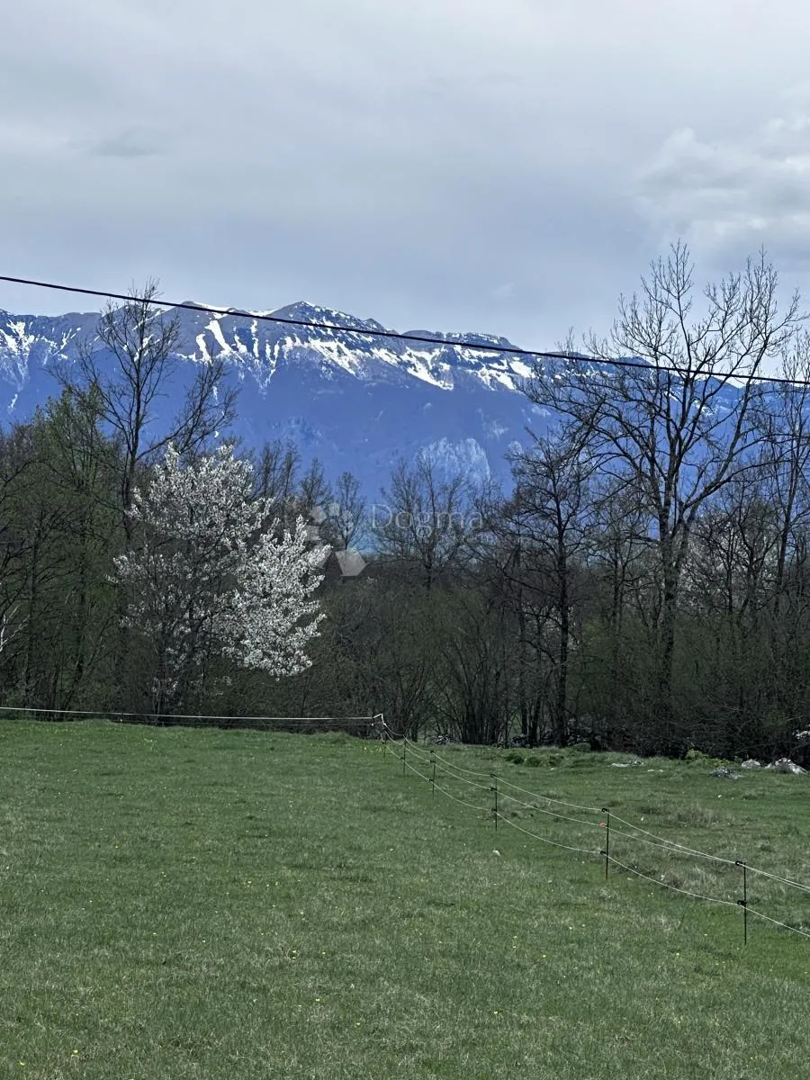 poljoprivredno zemljište 6300m2 cjelina - slika 3
