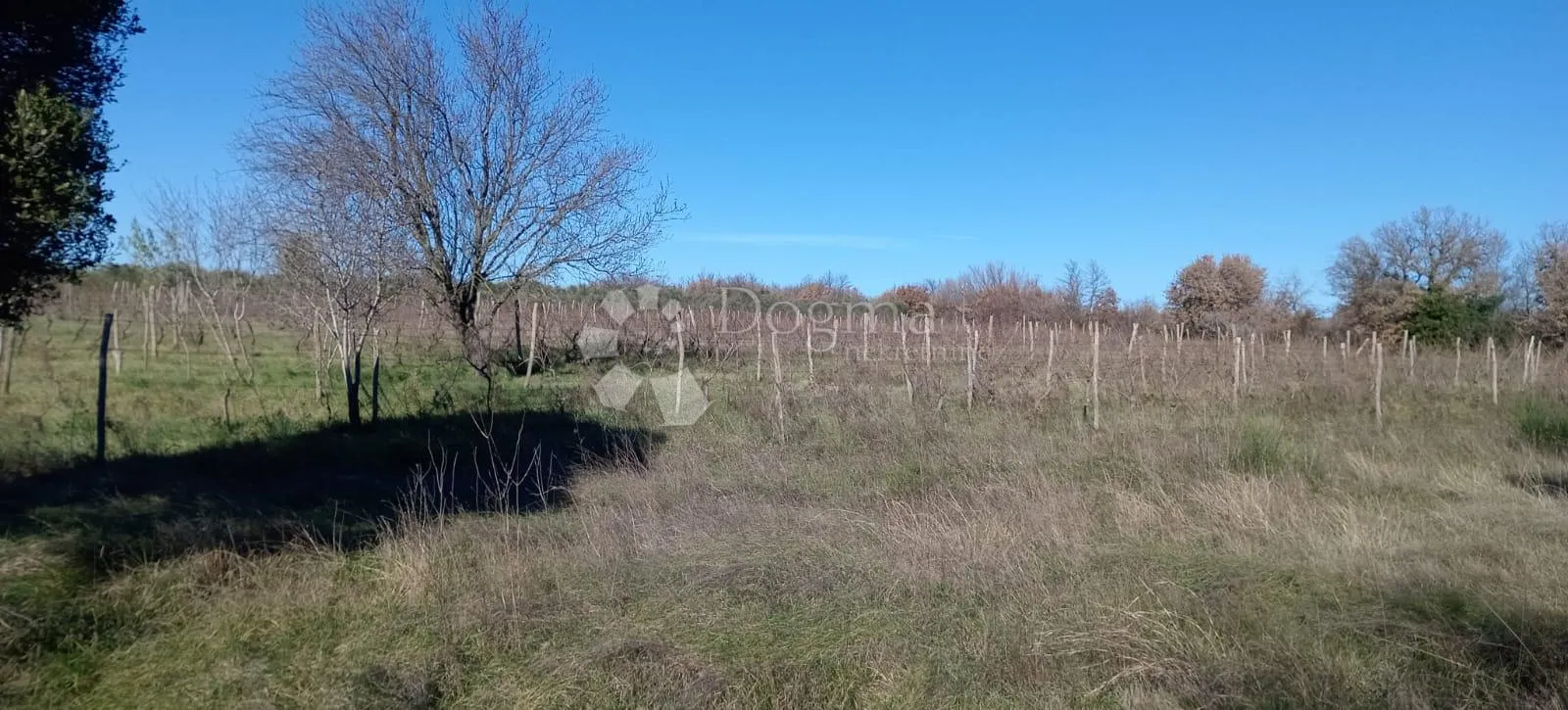 velika poljoprivredna parcela uz glavnu cestu - slika 3