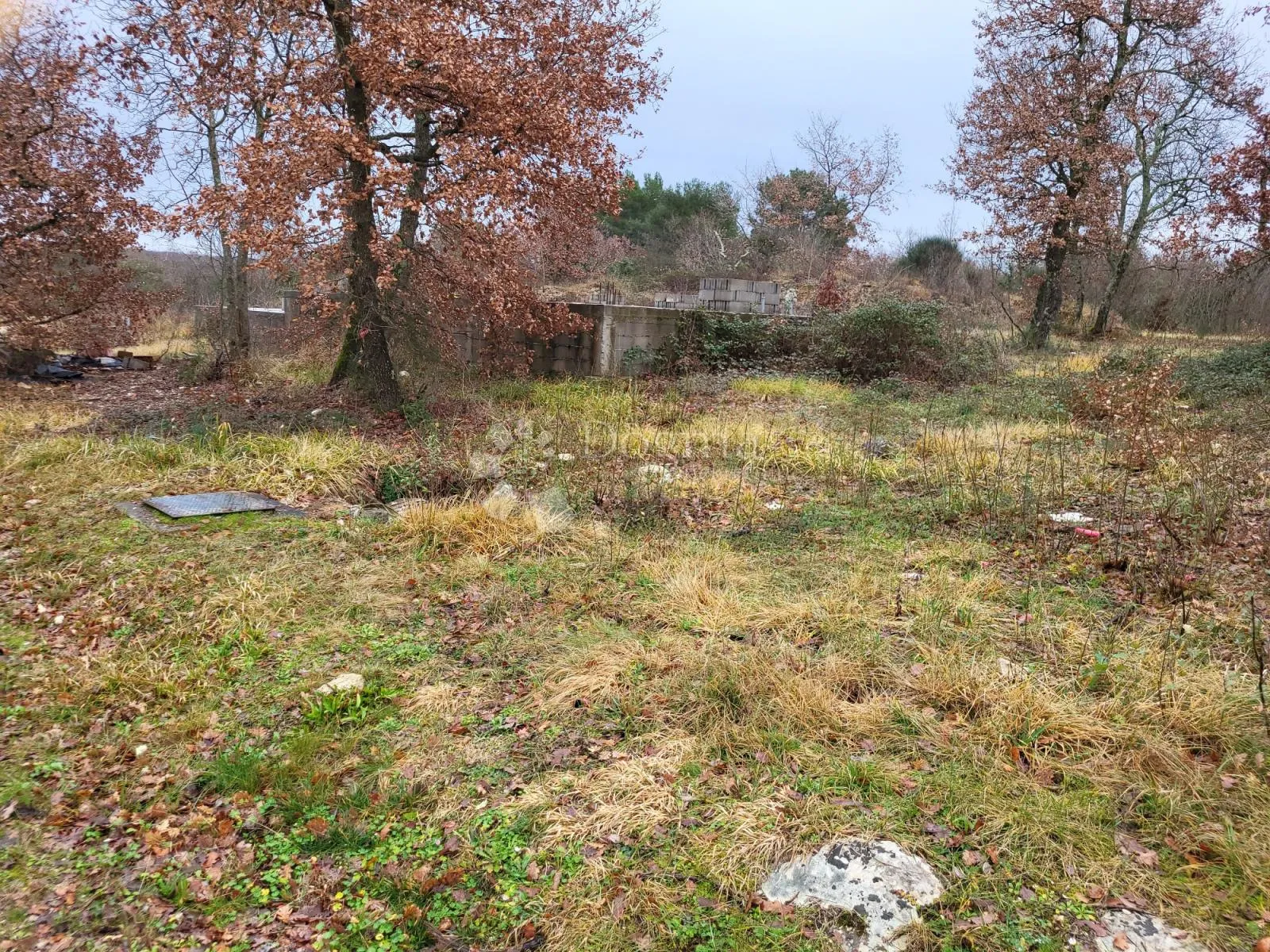 započeta gradnja tar-vabriga - slika 5