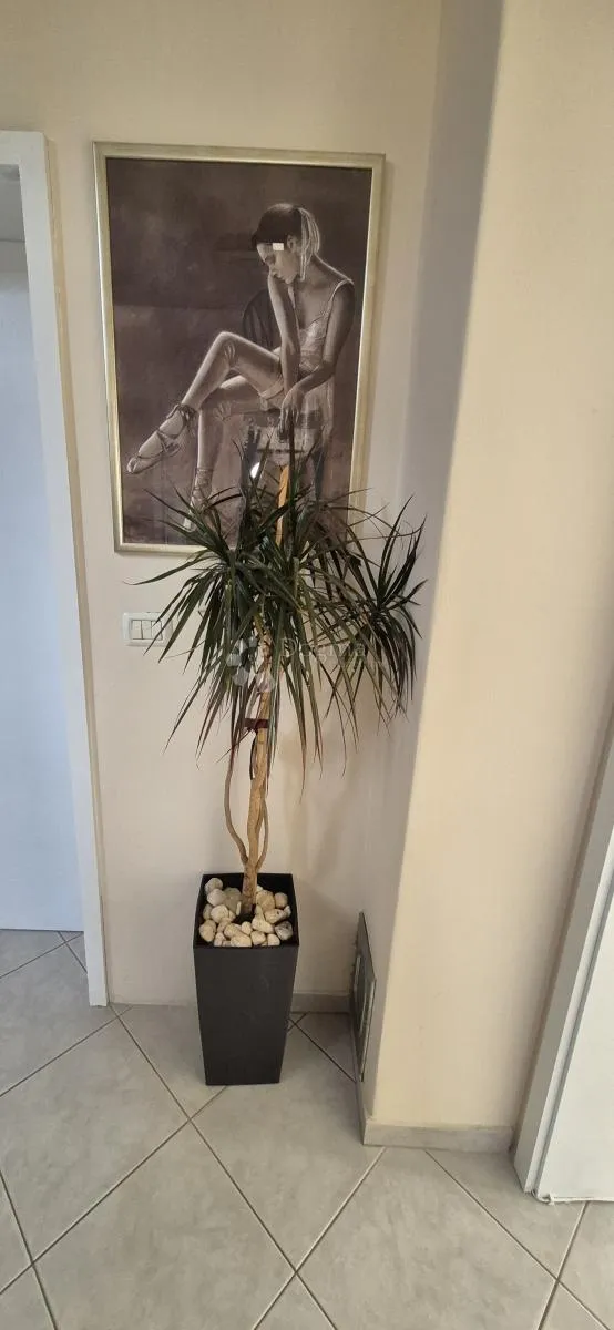 kuća sa 2 stana i bazenom - slika 84