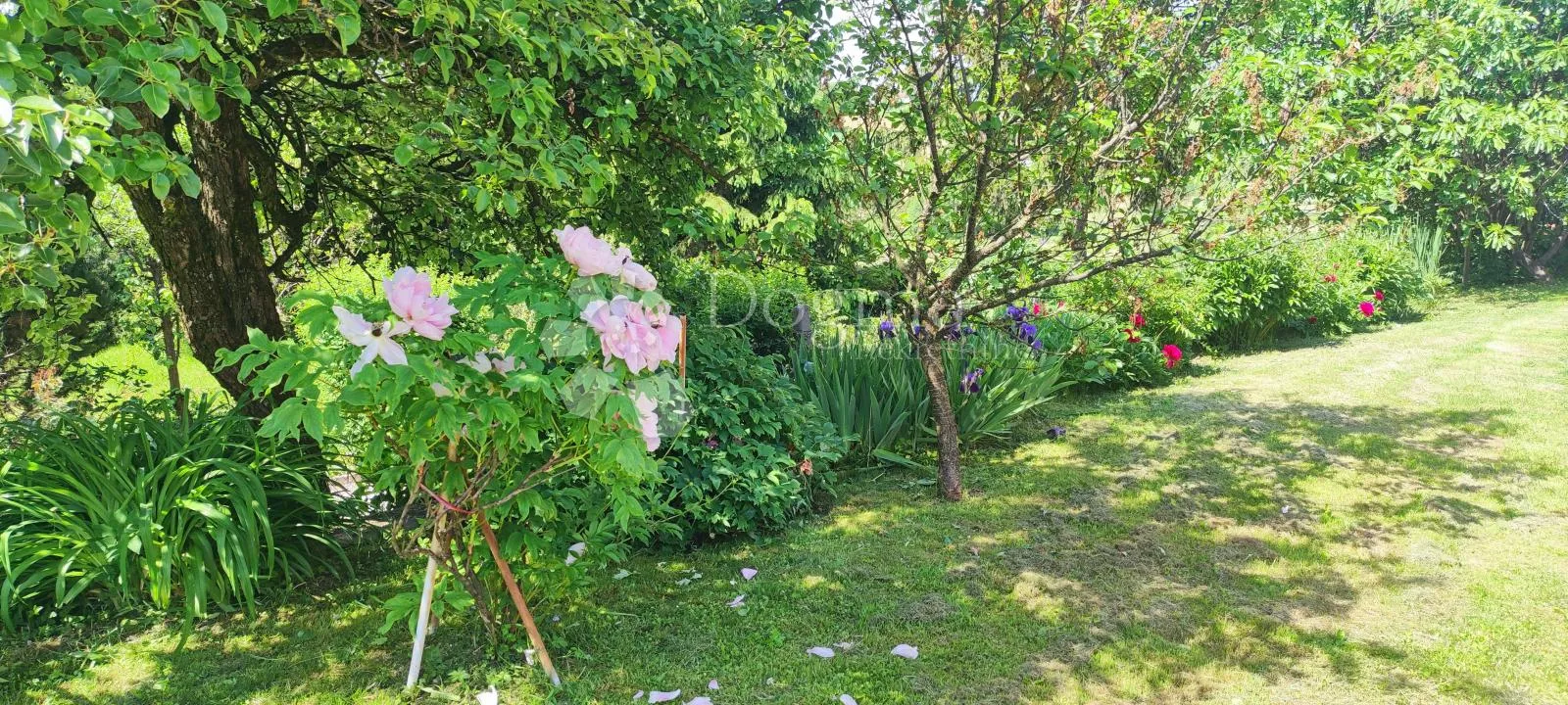rustikalna vila na varaždinbregu - slika 4