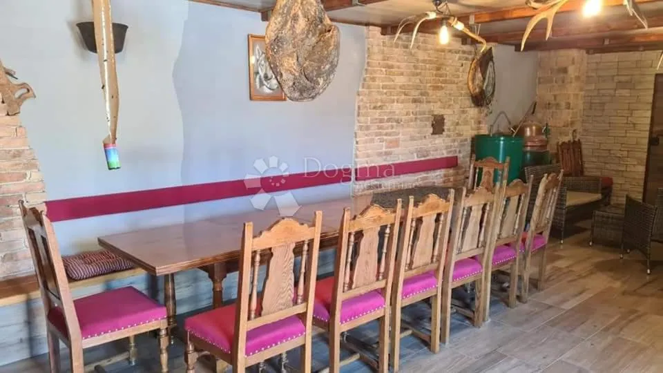 kuća čavle sa uhodanim turističkim najmom - slika 45
