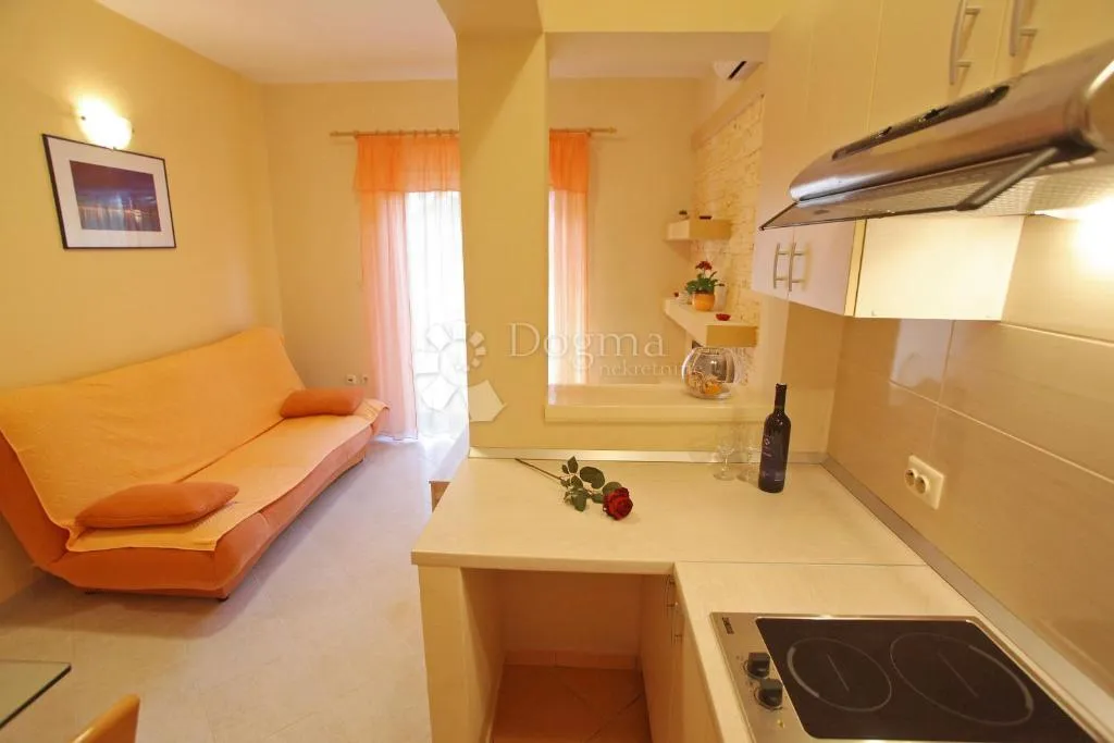 apartmanska kuća u blizini mora i plaže - sukošan - slika 13