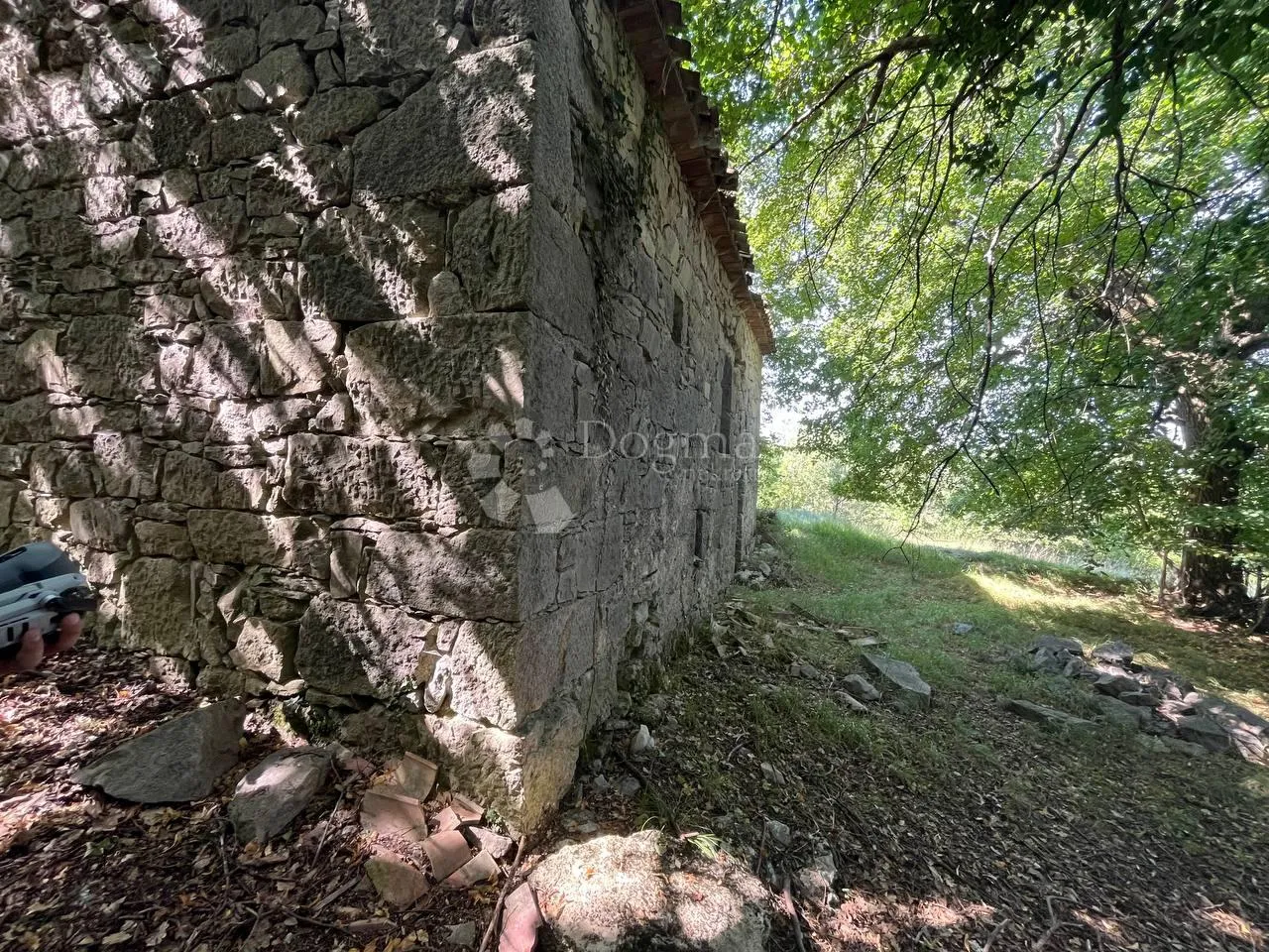 starina sa potencijalom za odličan prihod - slika 6