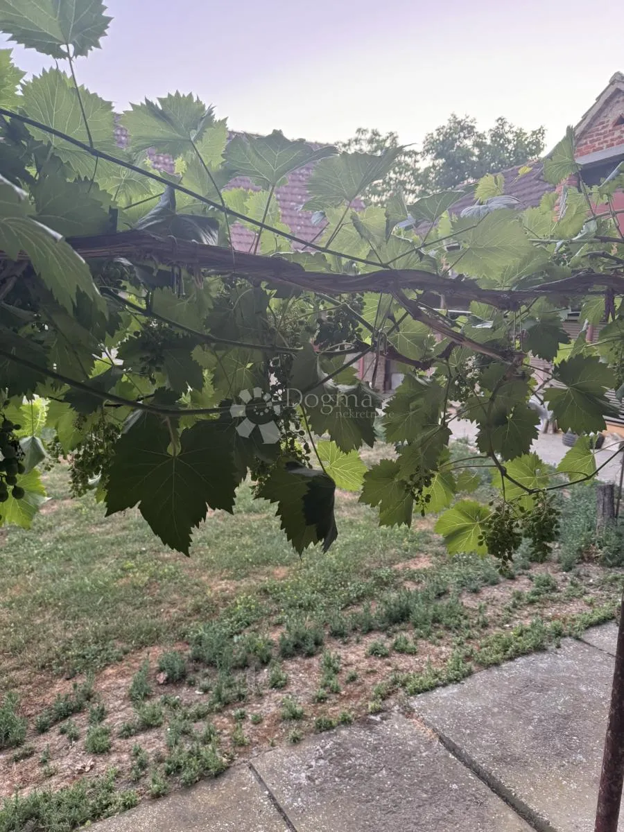prostrano seosko imanje 6 km od bjelovara - slika 10