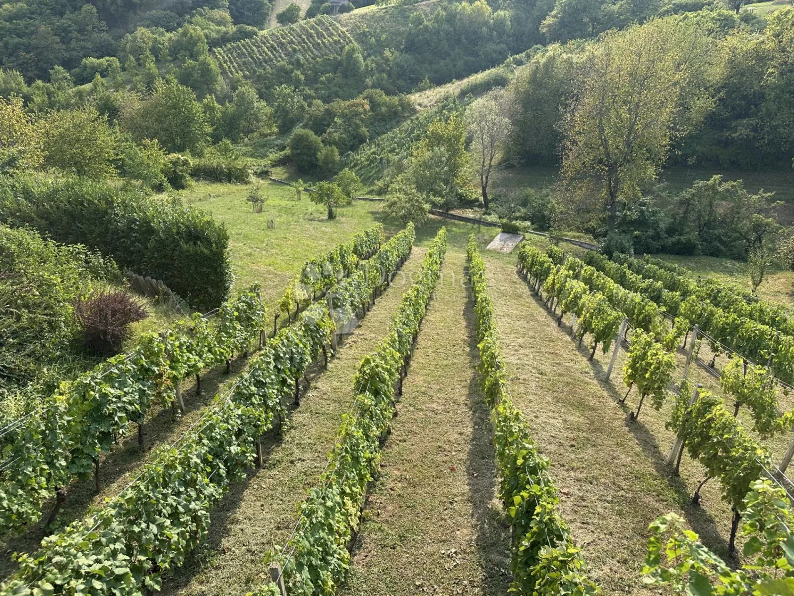 prodaja, kuća, ozalj- grandić breg, nkp 134 m2 sa okućnicom i vinogradom 3083 m2 - slika 21