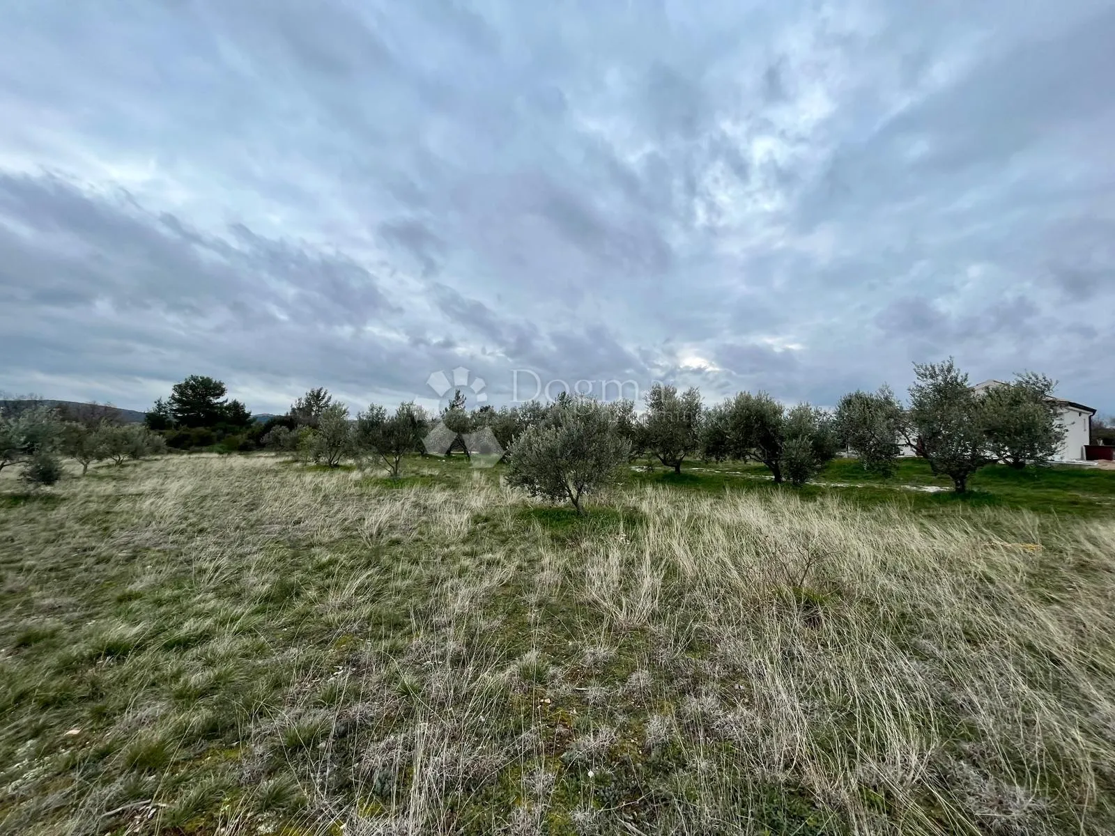 građevinsko zemljište 9.490 m² s maslinikom u rašteviću - slika 11
