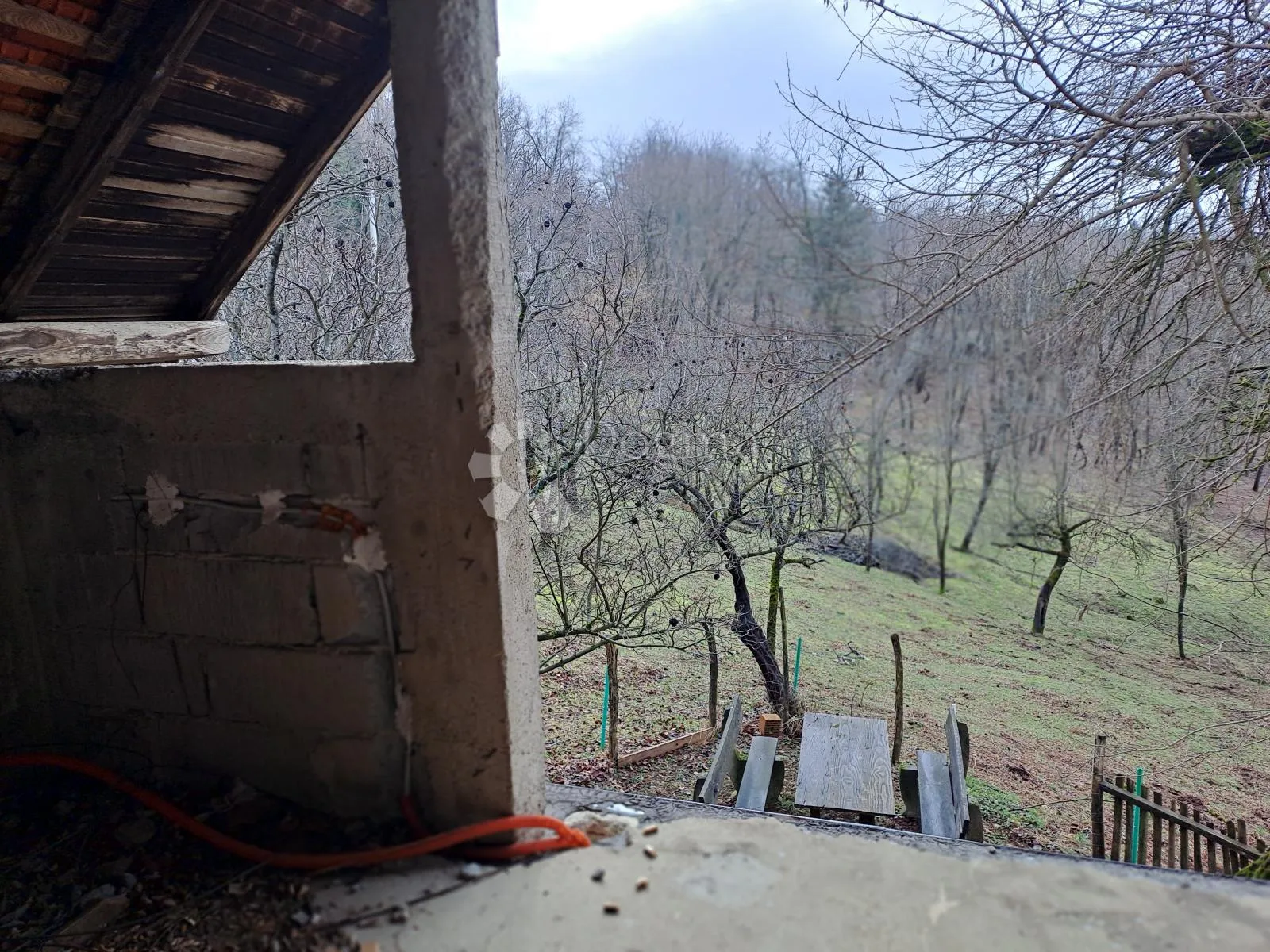 povoljna viksa na vrhu brda - slika 17