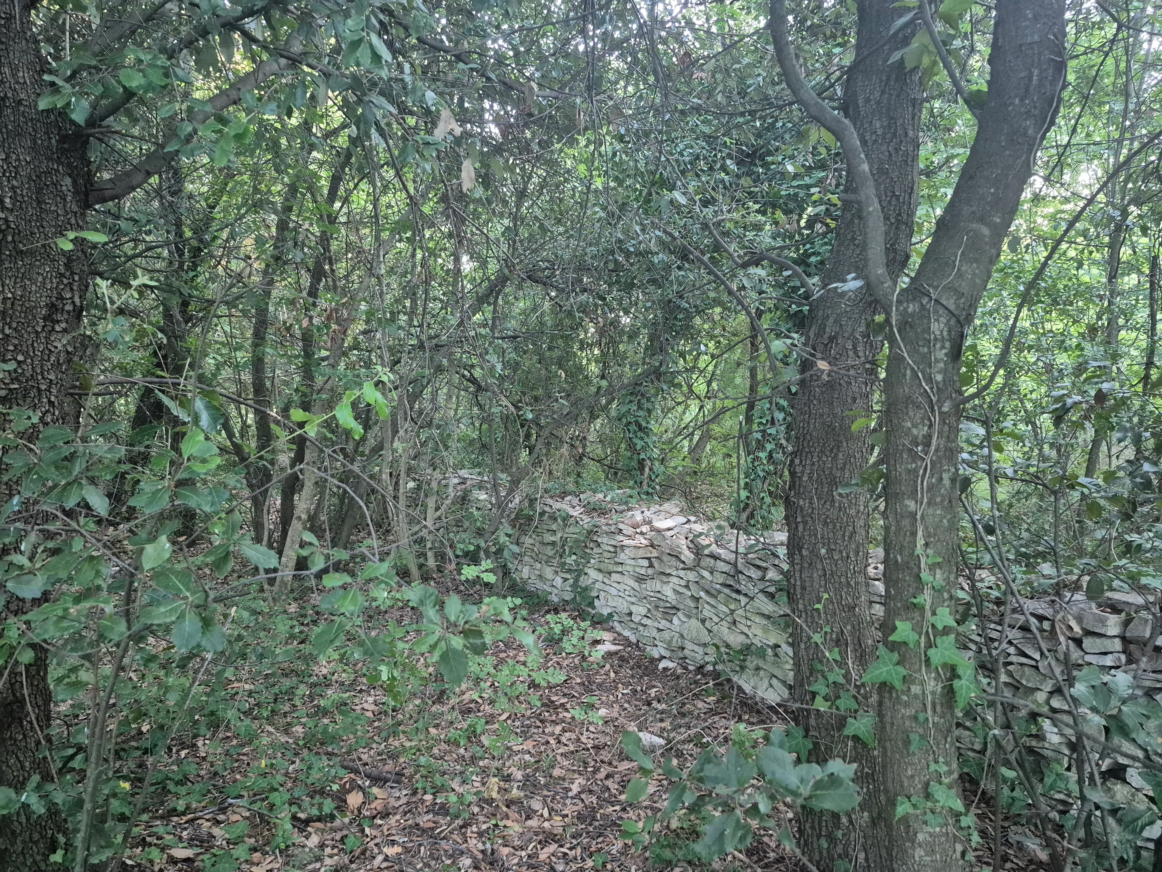 poljoprivredno zemljište - pašnjak - 1942 m2 - slika 8