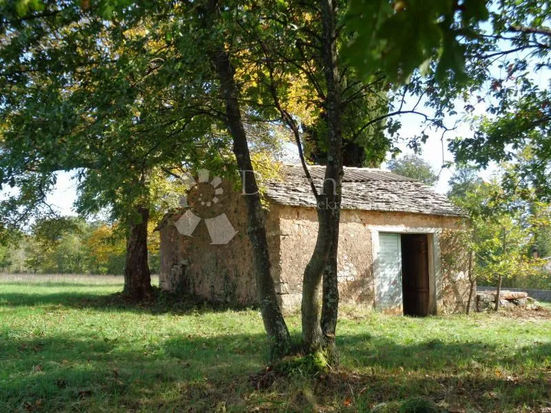 20 000 m2, žminj veliko imanje za izgradnju resorta - slika 6