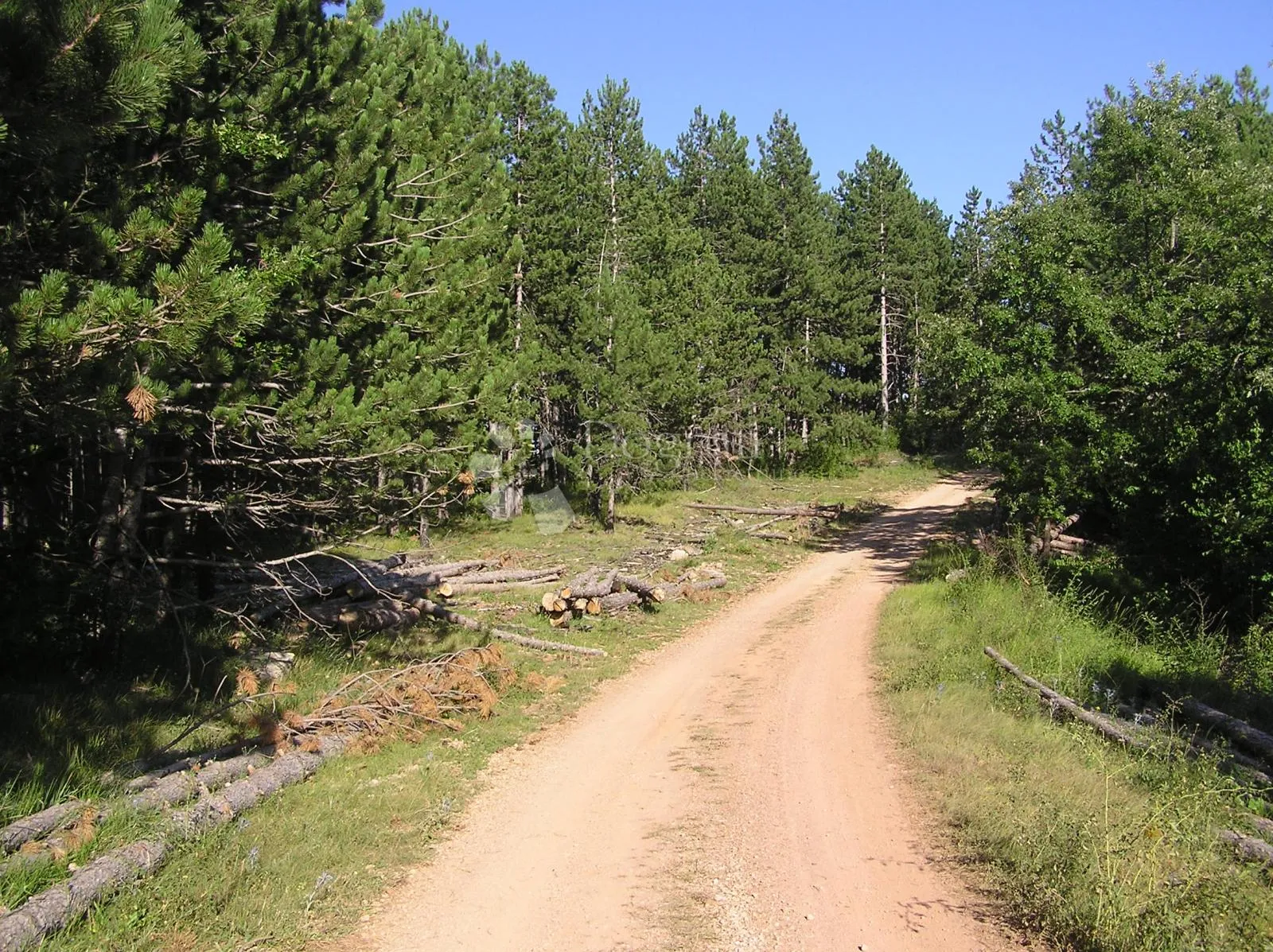 prodaja zemljišta-rudopolje bruvanjsko-58.188m² - slika 2