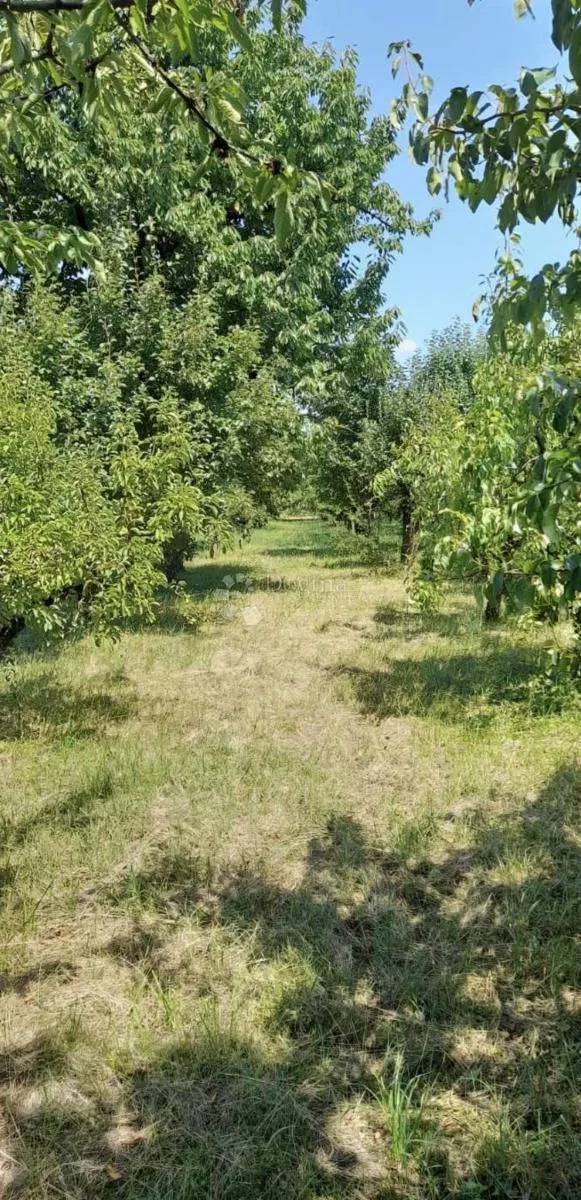 našice - kuća uz glavnu cestu sa okućnicom! 279m2 - slika 9