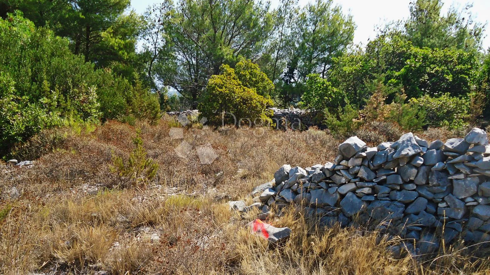 poljoprivredno zemljište sa pogledom na more i - slika 7