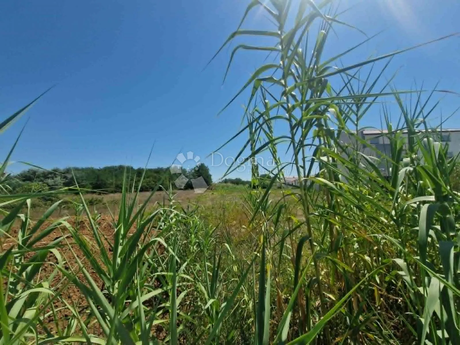 privlaka - građevinsko zemljište 2513 m2 - slika 3