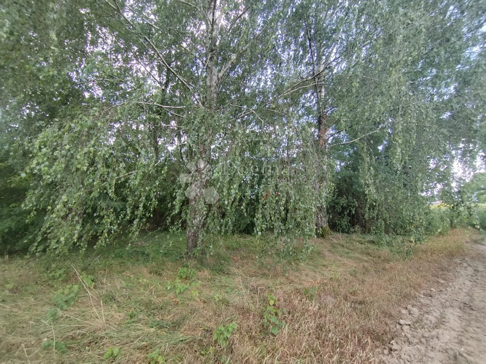 atraktivno građevinsko zemljište – prilika! - slika 12