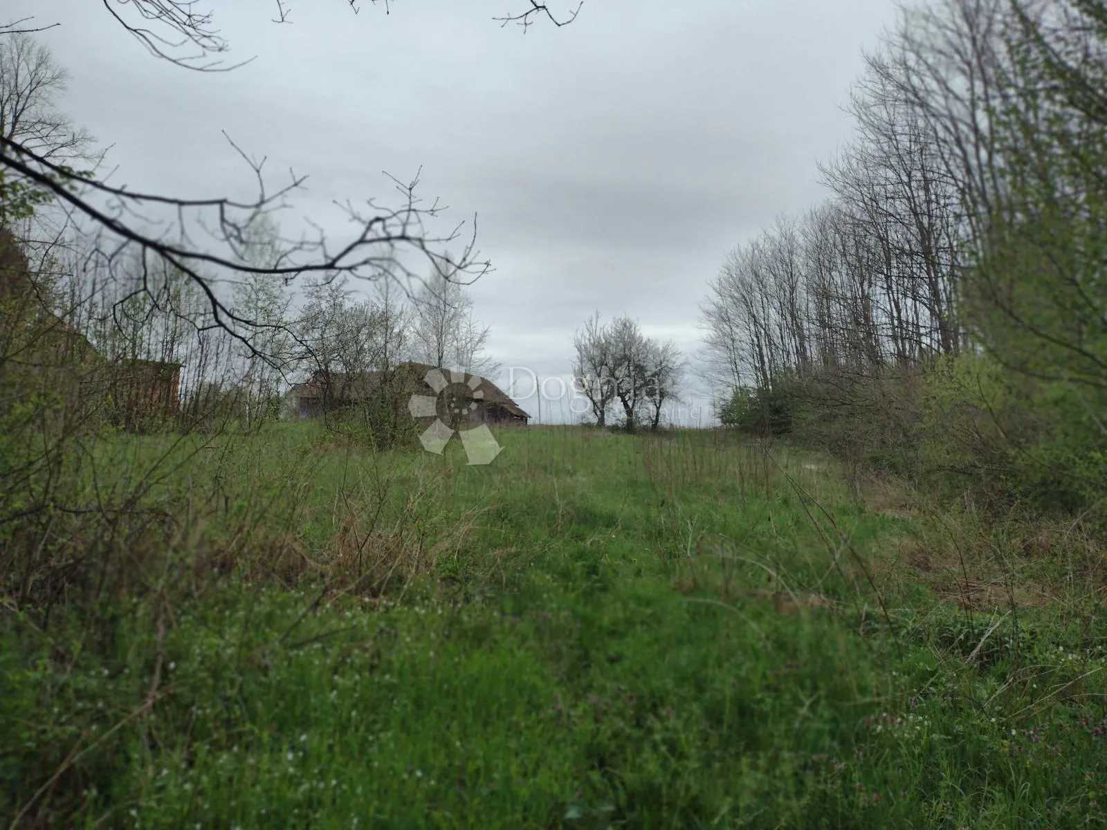 blatuša - 11.2ha - potok, konji !!! - slika 9