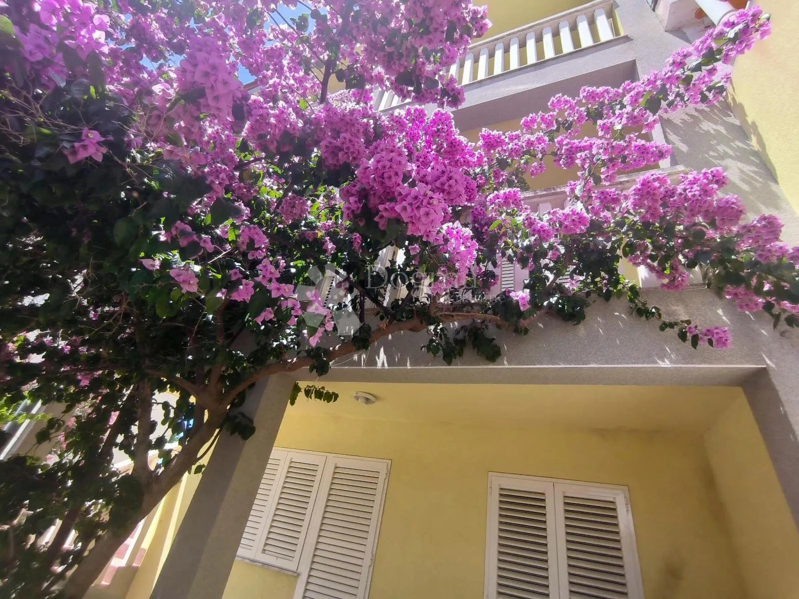 kuća sa tri apartmana, privlaka - slika 13