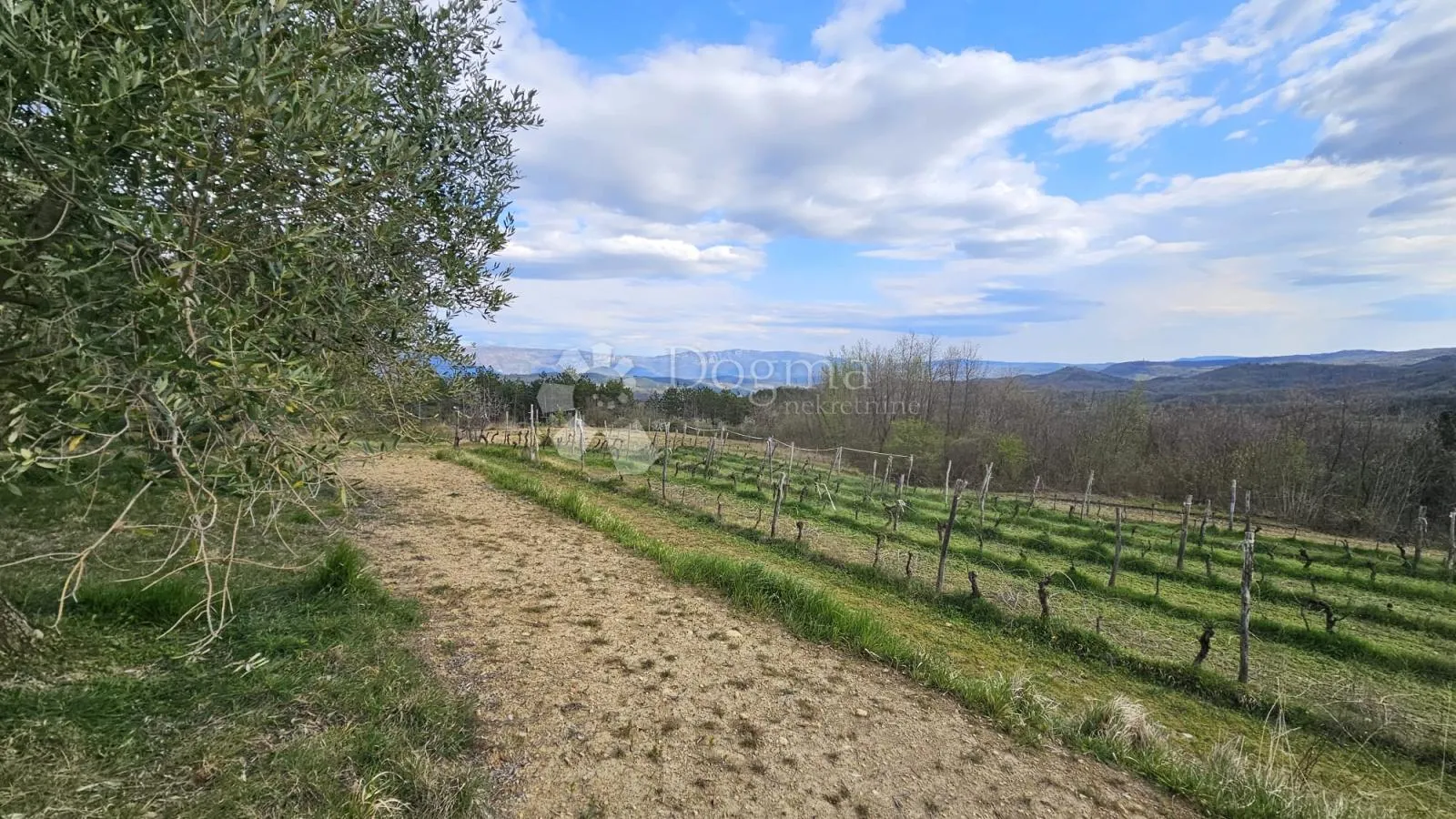 vinograd u oloici pazina - pogled na učku i more - slika 2