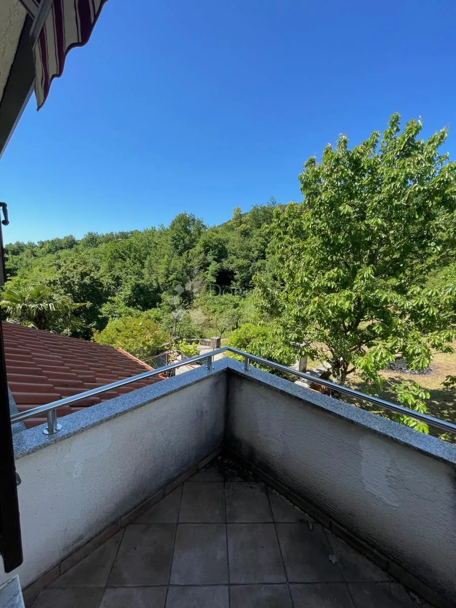 komadić raja koji traži pažnju - slika 32