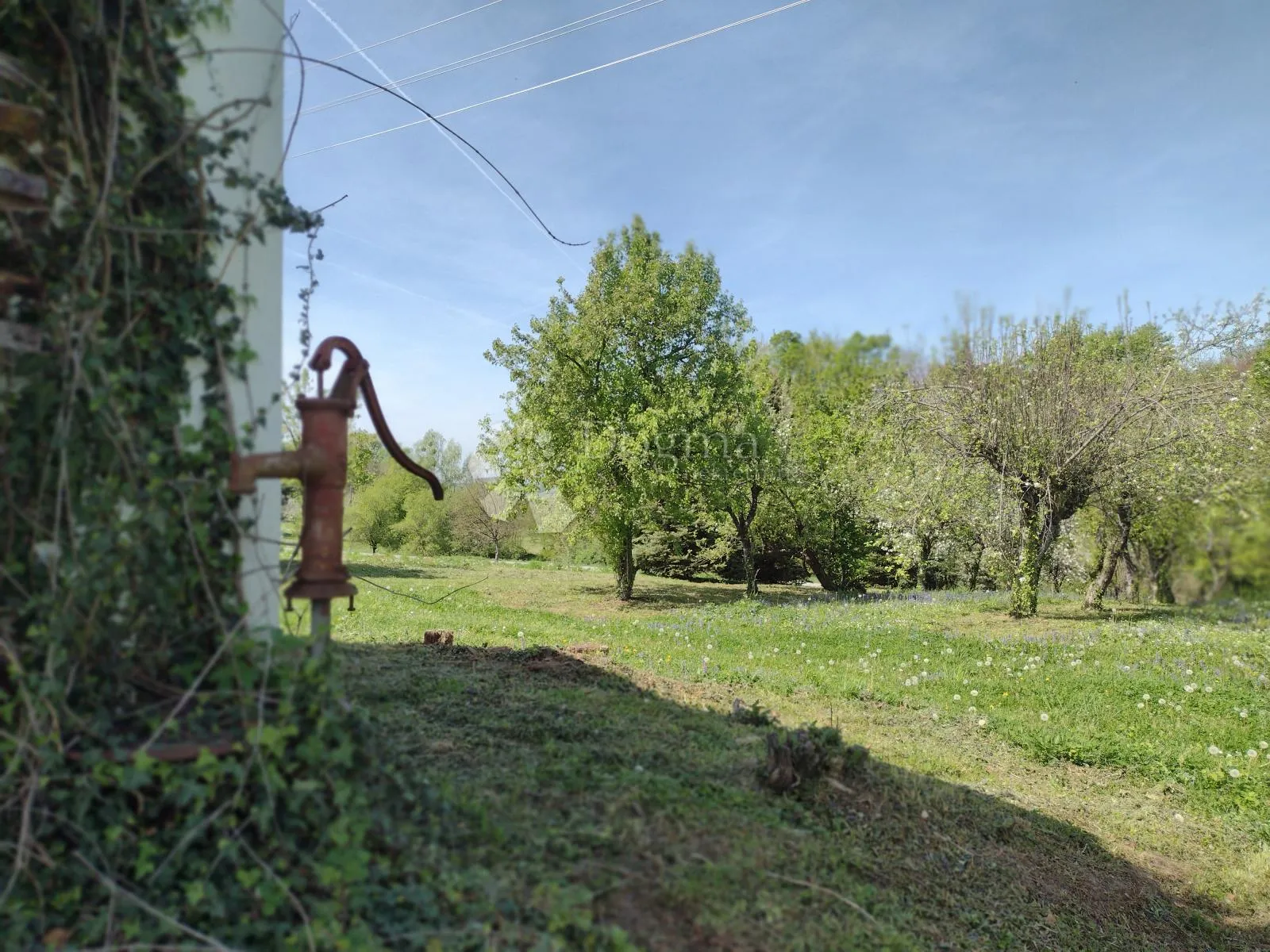 klet u vikend naselju, voćnjak - slika 18