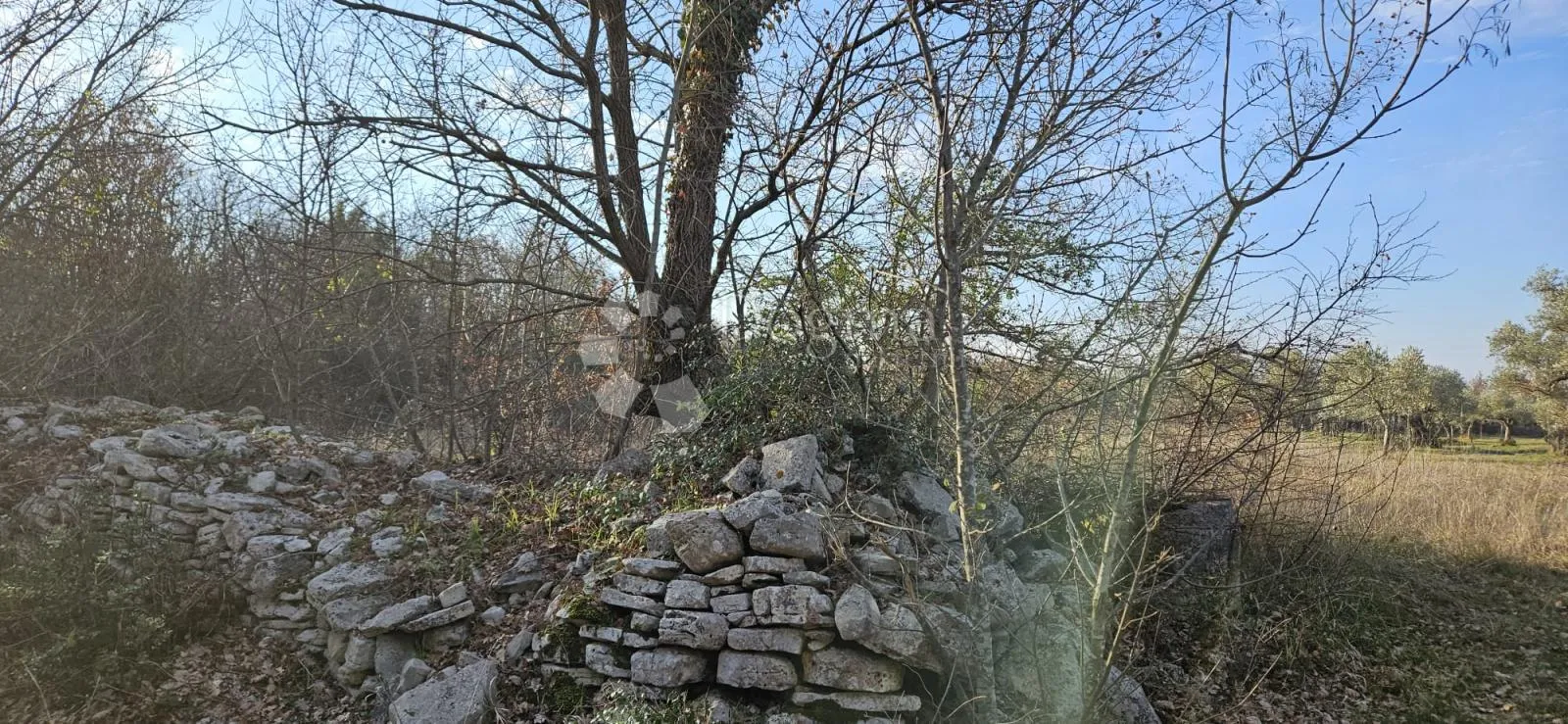 poljoprivredno zemljište na odličnoj lokaciji - 4154 m² - slika 6
