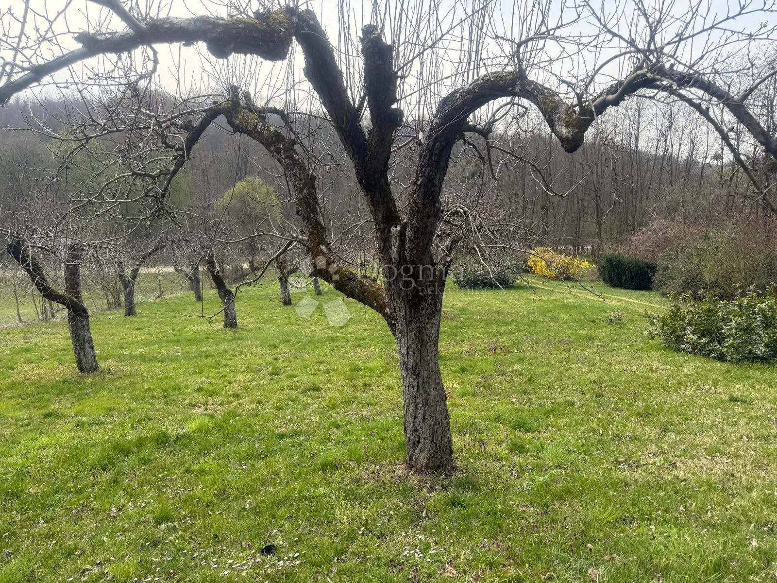 bajkovito imanje na osami u srcu prirode - slika 28