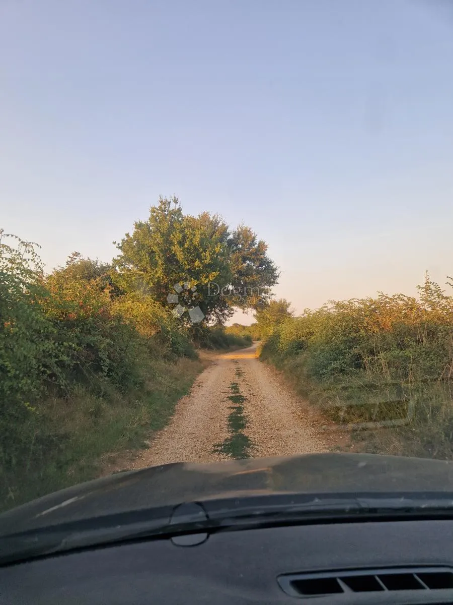 glavica (sv. petar na moru) - poljoprivredno zemljište 3202m2 - slika 2