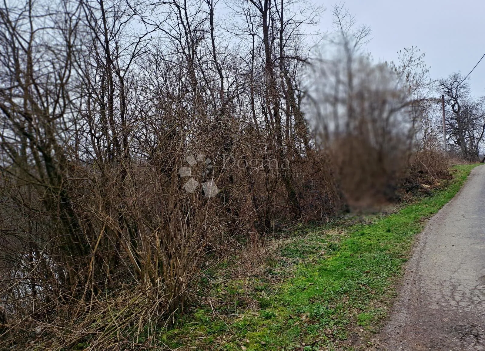 šum slapova na mrežnici - slika 21