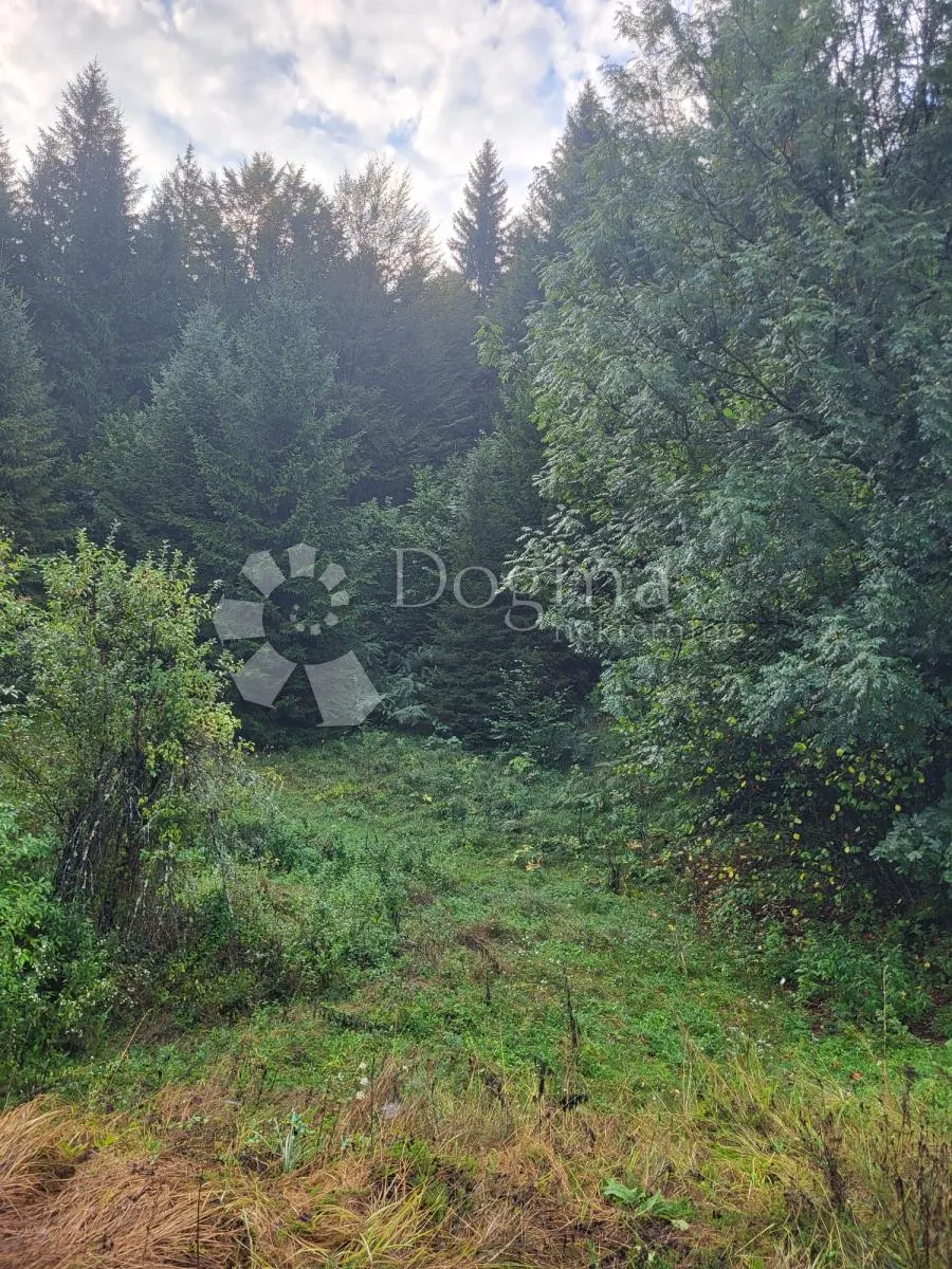 čarolija od 6600m2 spremnih za vaše ideje - stara sušica - slika 3