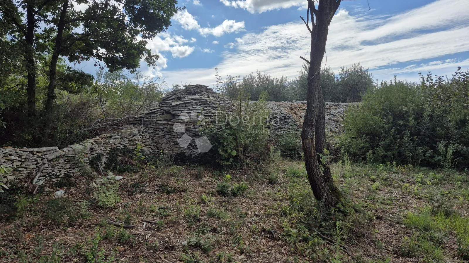 poljoprivredno zemljište sa kažunom površine 3550 m2 - slika 11