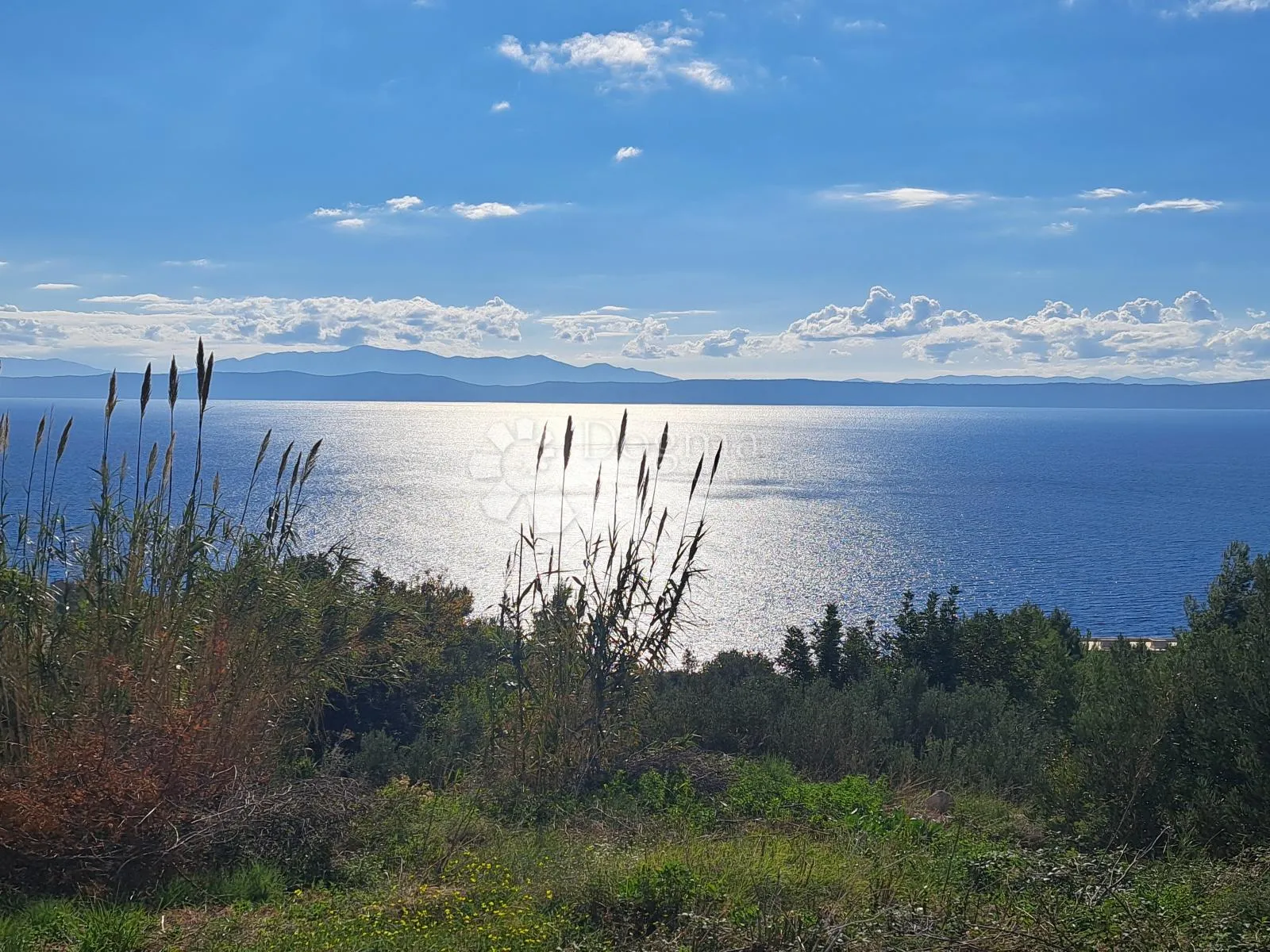uređeni maslinik s predivnim pogledom – 896 m², podgora - slika 6