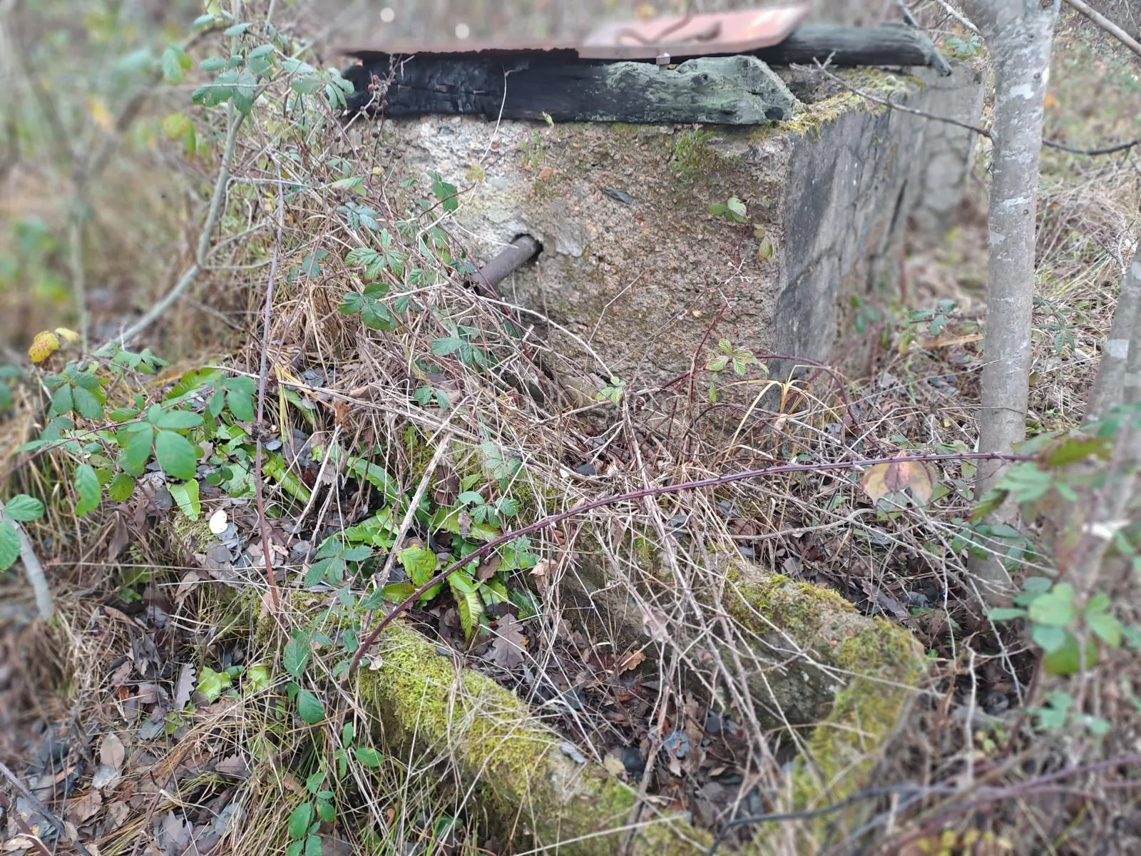 stara kuća na velikom placu - slika 7