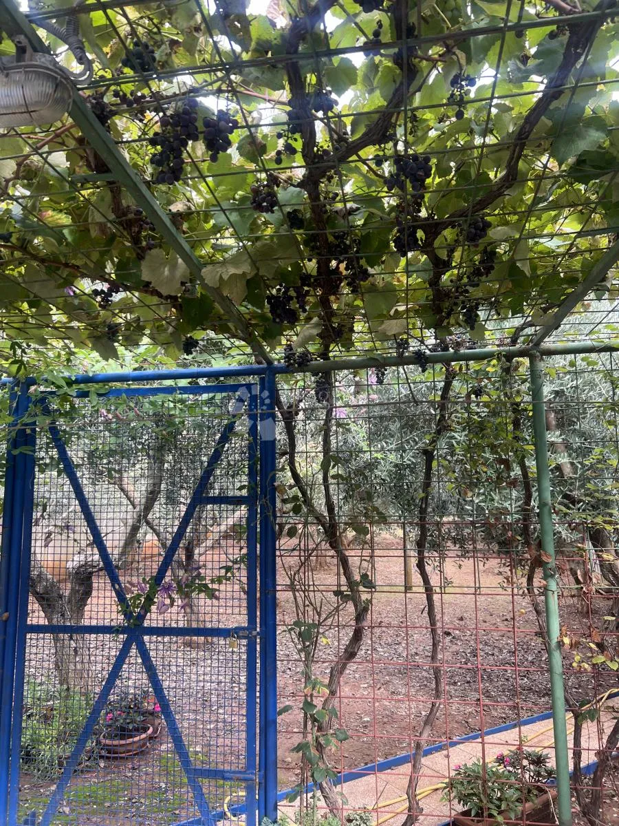 prodaje se kuća u medulinu - slika 19