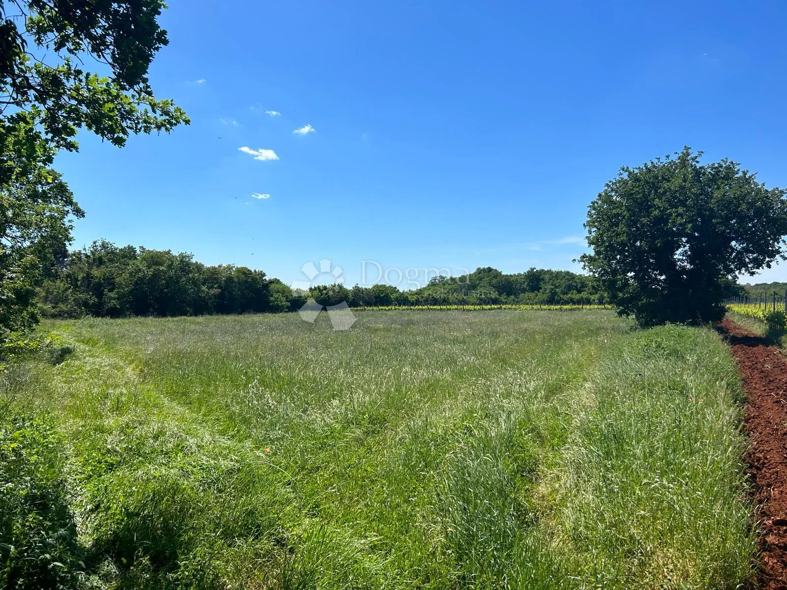 poljoprivredno zemljište u muntiću: 3352 m² - slika 1