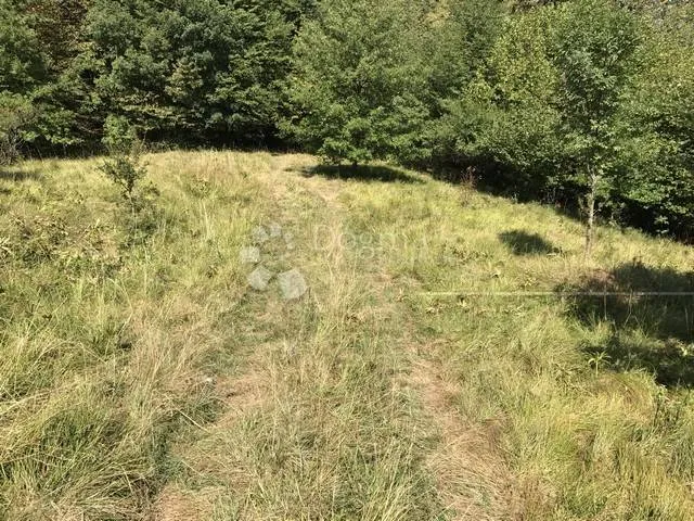 klana, super povoljni poljoprivredni teren - slika 2