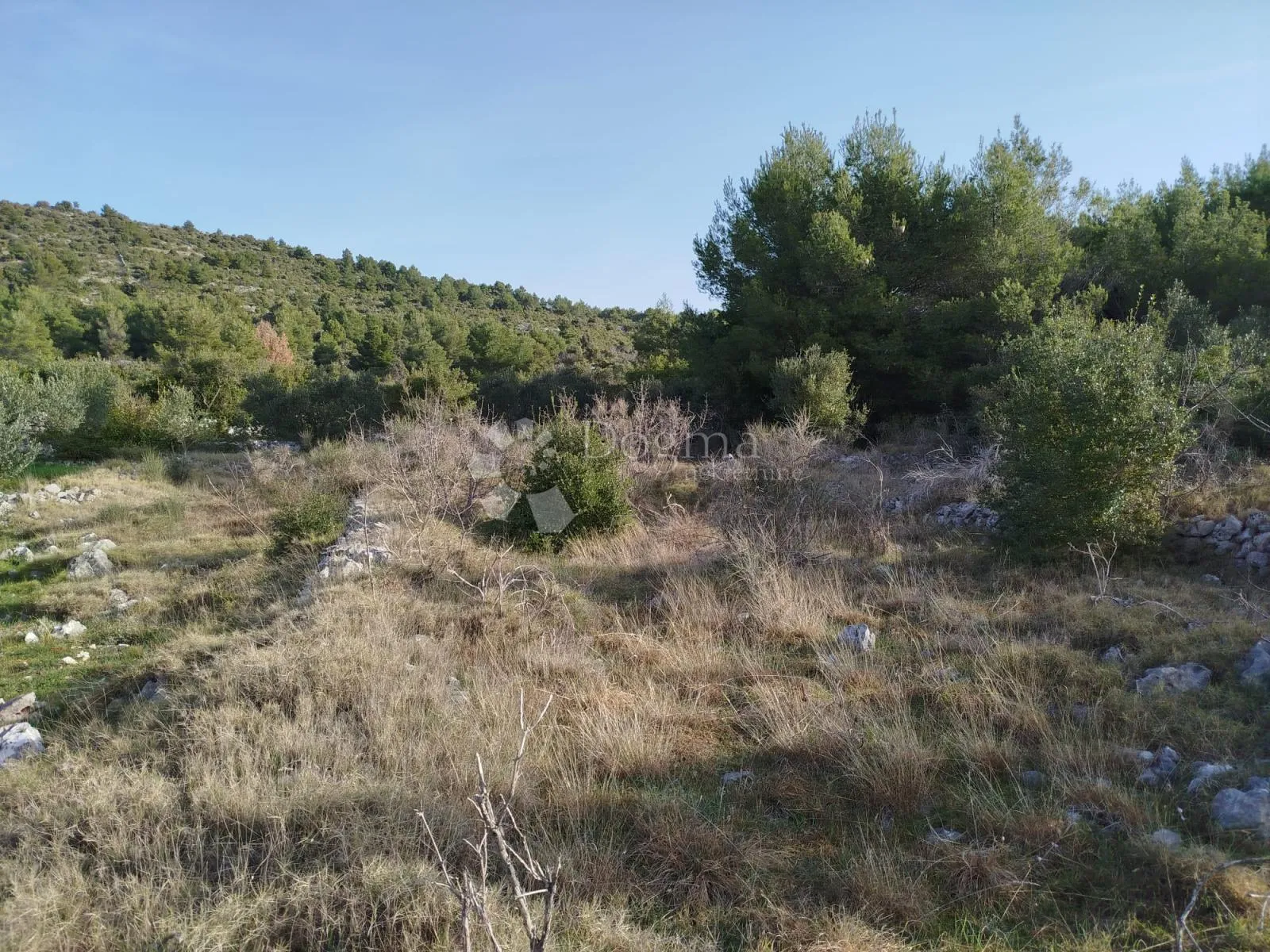 poljoprivredno zemljište marina - slika 3