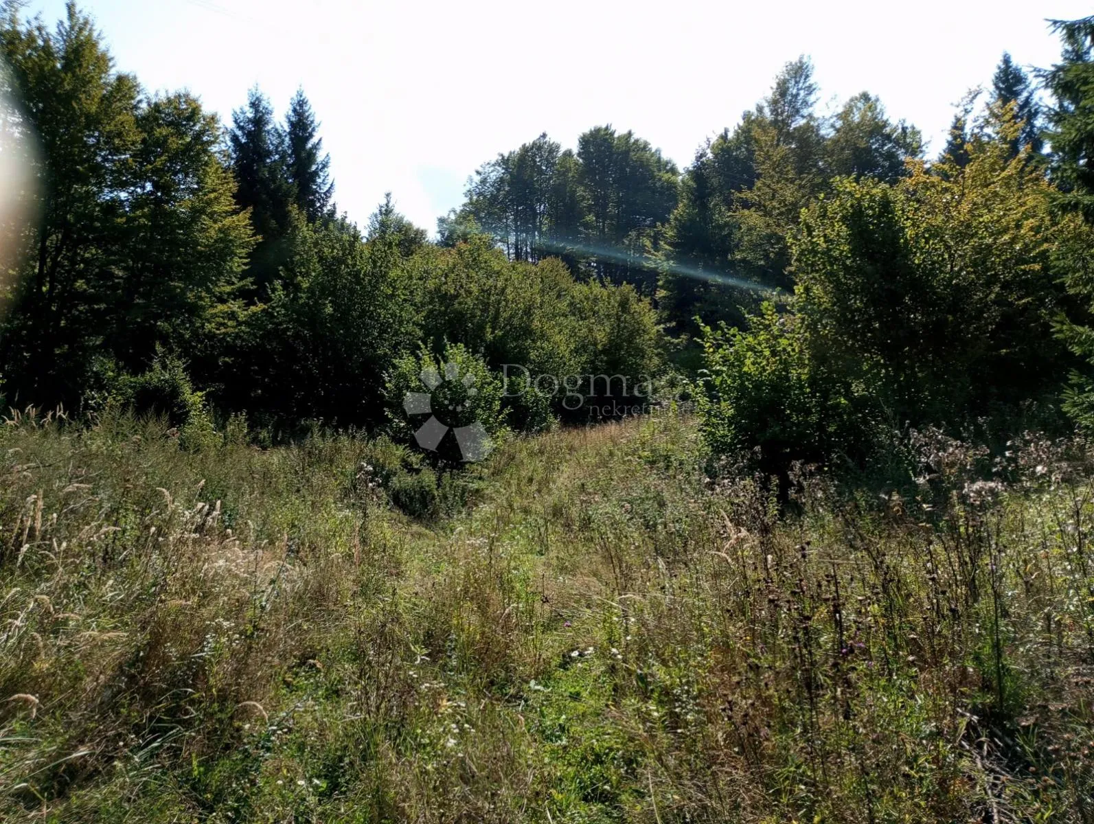 rijetka prilika gorski kotar, delnice 10.500 m2 zemljište za 9 a-frame vikendica - slika 5
