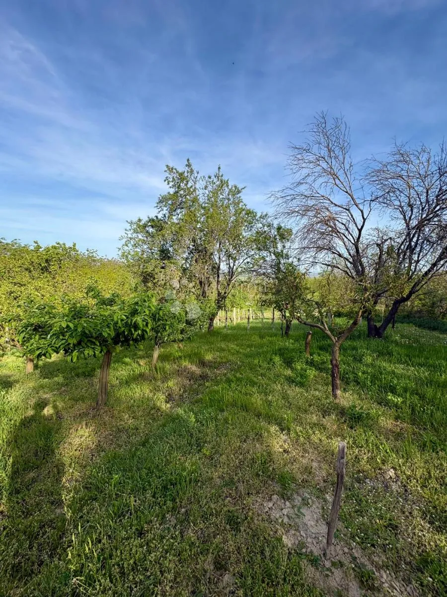 oaza mira i privatnosti – vikendica s vinogradom i 3.797 m² okućnice - slika 39