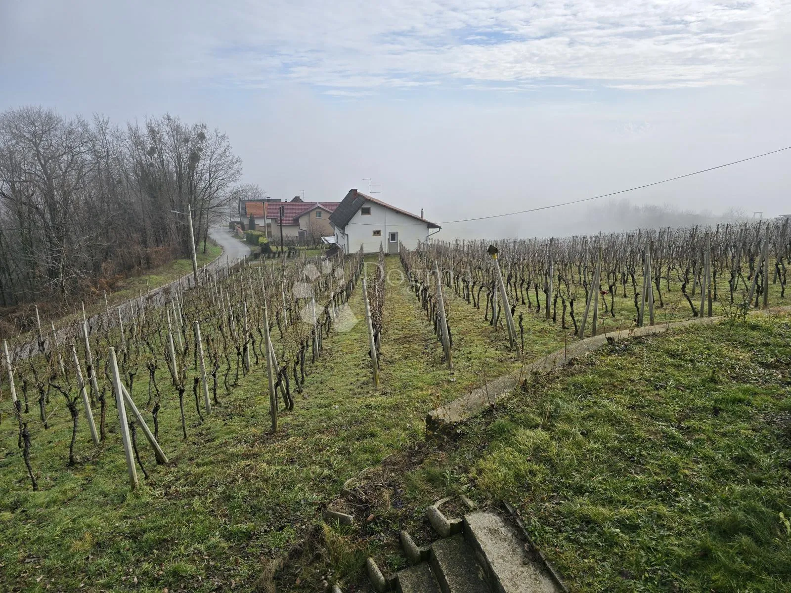 kuća u vinici - kraljica pogleda - slika 76